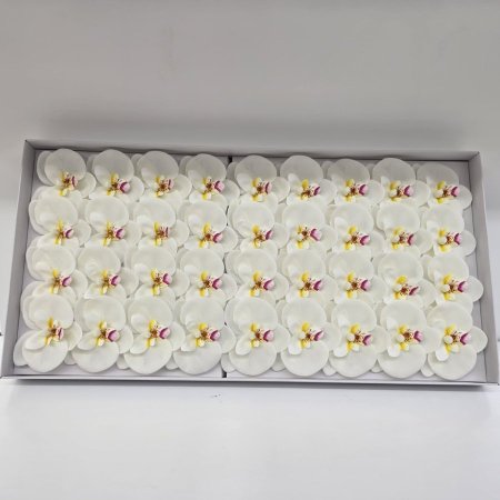 M34-5 ورد صابون